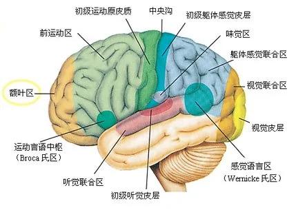大陆脑梗塞复发率高达40%,如何防治?