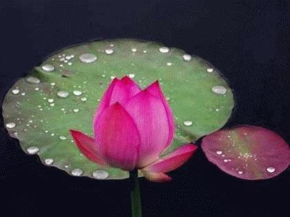 古代君子正心诚意之道