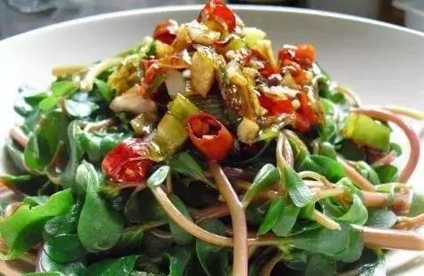 春食七草 解毒又养生