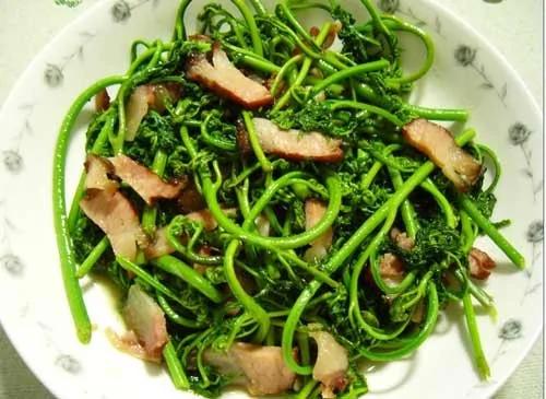 春食七草 解毒又养生