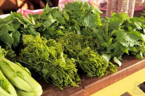 春食七草 解毒又养生