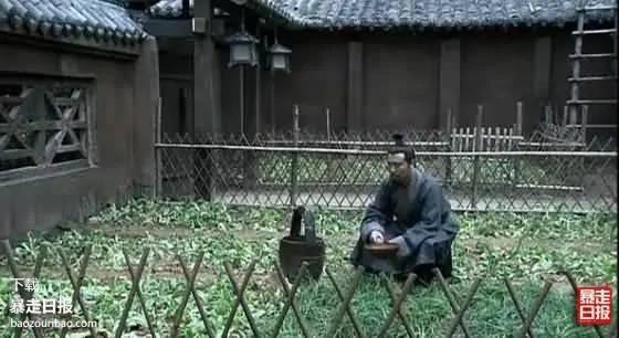 这几种食物 只需要买一次就可以一直吃下去