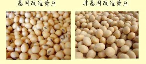 太伤身体!这七类食物千万不要吃