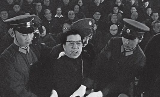 江青:审判我就是丑化毛主席和参与文革的亿万人民
