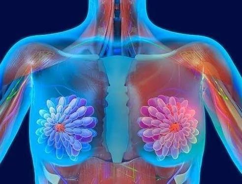 恍然大悟!原来癌症最青睐这些器官是因为……