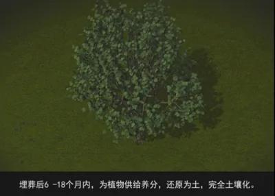 绿色环保的殡葬方式——冰葬