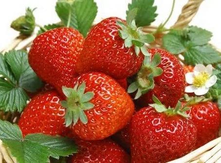 春天吃“莓”了嗎?盘点5类強效莓果