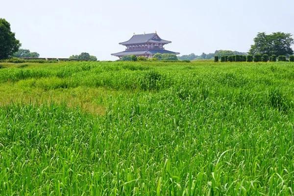 大唐文明垂范日本