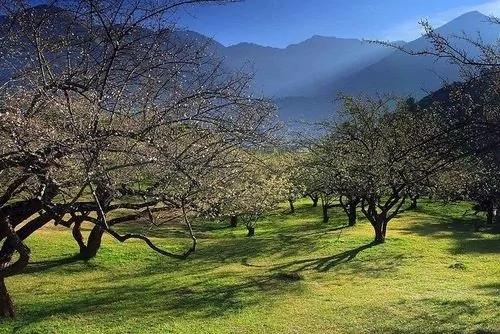 36个连台湾人都不一定知道的“隐藏梦幻景点”