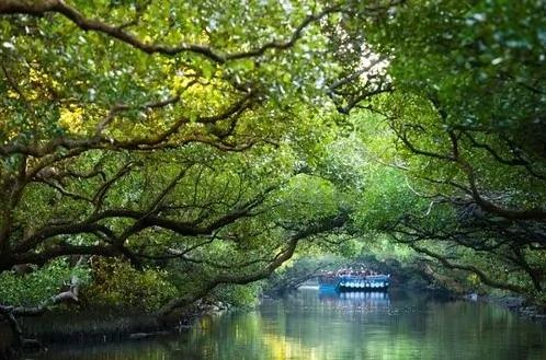 36个连台湾人都不一定知道的“隐藏梦幻景点”