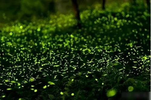 36个连台湾人都不一定知道的“隐藏梦幻景点”