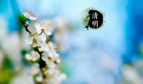 清明节与寒食节二合一?记得吃青团!