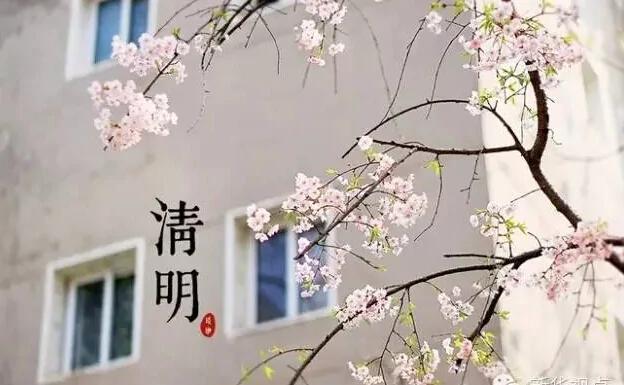 涨姿势 清明节为啥要扫墓?