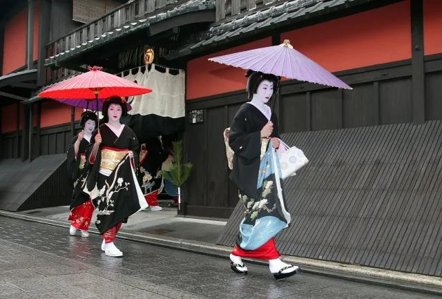 超讲究雨伞礼仪的日本人 为什么特别偏爱透明雨伞呢?