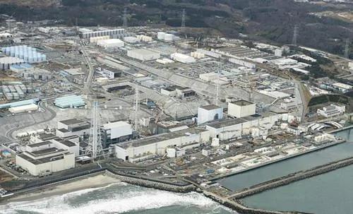 野猪遭受核辐射后:体重400斤 泛滥成灾