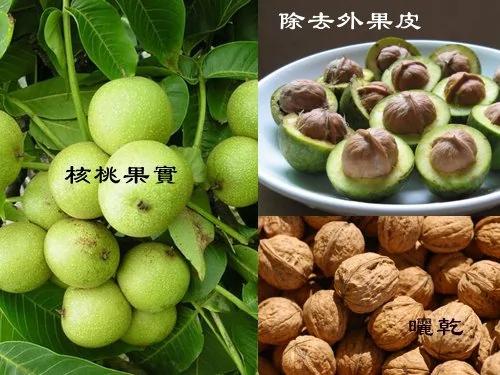 大脑不老三字诀