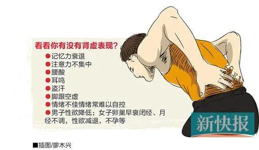 记忆力衰退可能是该补肾了