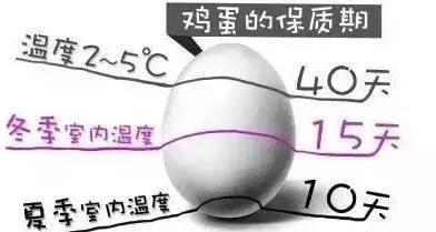 实用 原来鸡蛋不能直接放冰箱...以前都做错了