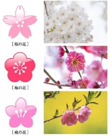 「櫻花」、「梅花」、「桃花」永遠分不清楚？你需要一個更簡易的方法來辨別1