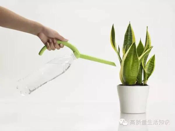 塑料瓶千万别扔,用处太大了!