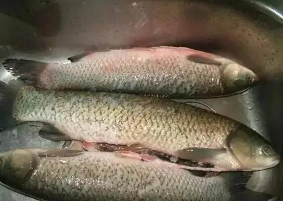 教你几招洗掉蔬菜农药 可以放心的吃啦