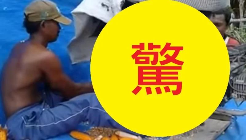 还在用手剥玉米粒也太逊了,因为人家只要几秒钟,就能把玉米剥到光溜溜啦!