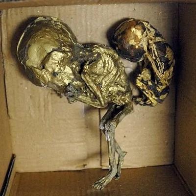 男人都没了?泰国女人为什么都在玩鬼娃娃