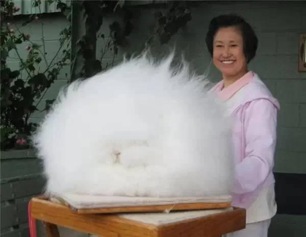 这些动物,你一辈子可能都没见过!