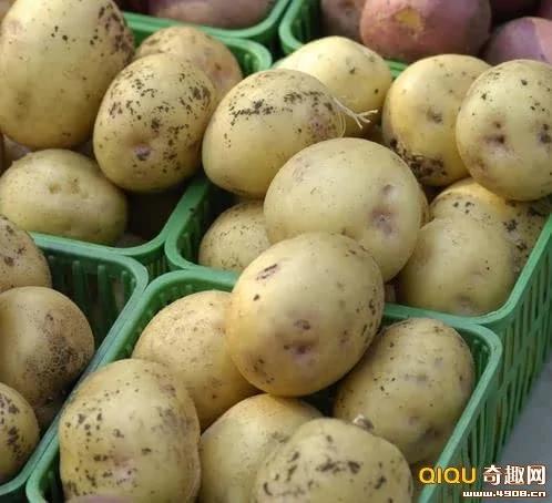 杜绝冰箱 10种必须常温保存的食物