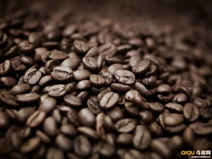 杜绝冰箱 10种必须常温保存的食物