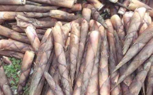 想成A4腰好身材的新标准,春天“菜王”是首选