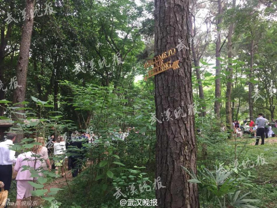 撒贝宁婚礼现场曝光 新娘礼服凹凸有致
