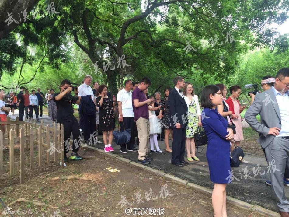 撒贝宁婚礼现场曝光 新娘礼服凹凸有致