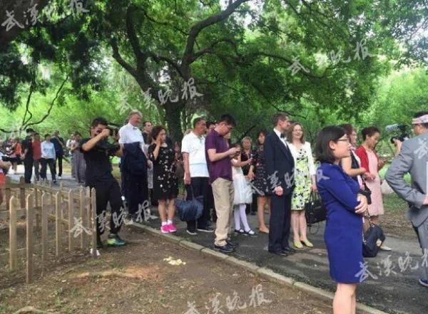 撒贝宁婚礼现场曝光 新娘礼服凹凸有致
