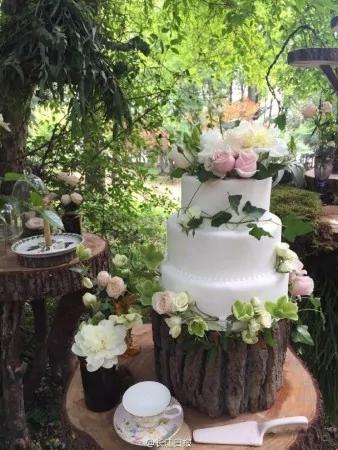 撒贝宁婚礼现场曝光 新娘礼服凹凸有致