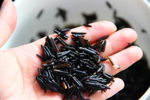 自然的恩赐 那些年我们吃过的花花草草(茭白篇)