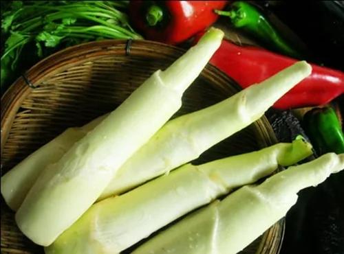 自然的恩赐 那些年我们吃过的花花草草(茭白篇)