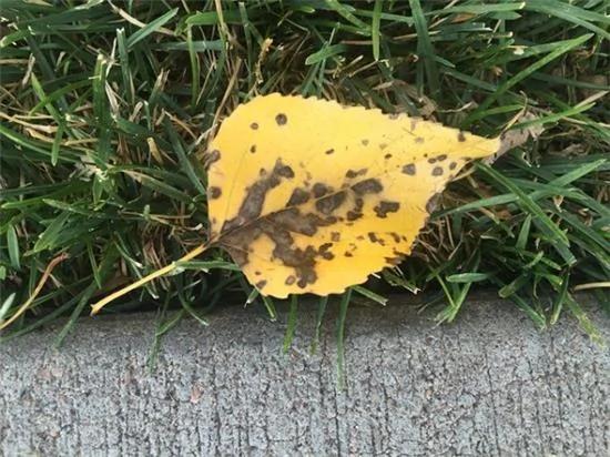 你真的会手机拍照吗?教你6招秒变高手