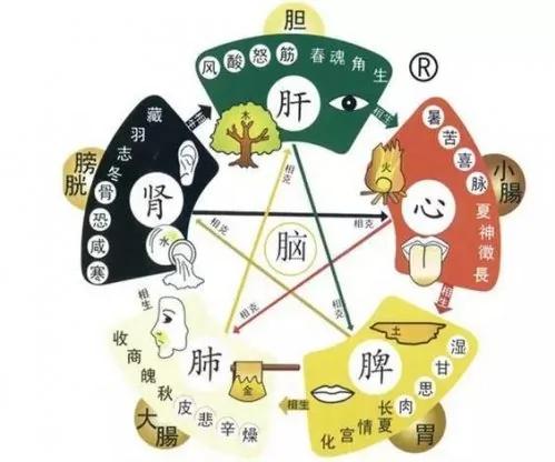 人的五脏有五怕!很多人不知道