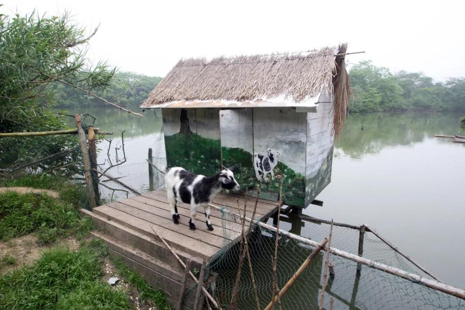 太极禅苑:马云在杭州密林中的“神秘居”