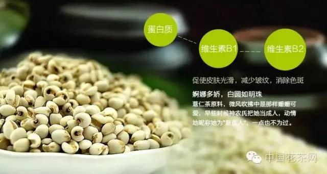 7款祛湿茶,体内湿气过重,影响身体健康