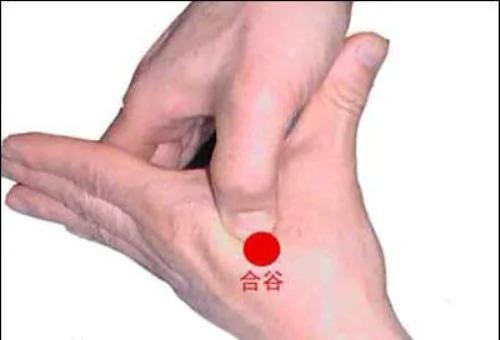 老中医:按摩5穴位,胜于吃补药