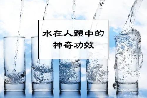 水在人体中的神奇功效!是你绝对想不到的!