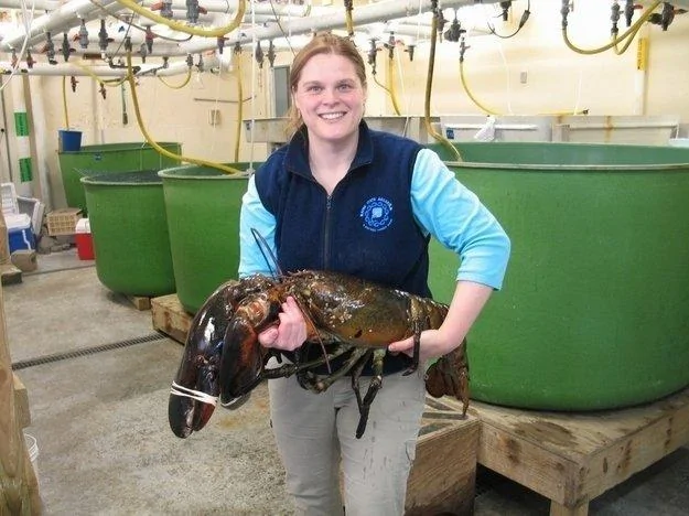 世界十大传奇捕捞，一只螃蟹5口人吃一周！