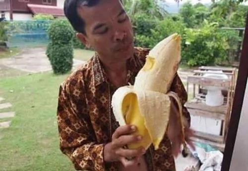 吃过香蕉,但是吃过这么大的香蕉吗?