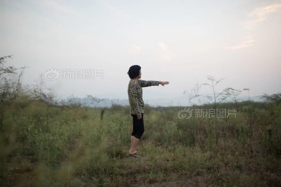 一生知青:那枯萎的橡胶树上有我死去的青春