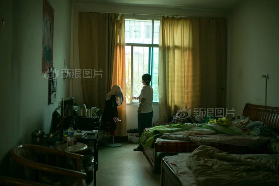 一生知青:那枯萎的橡胶树上有我死去的青春