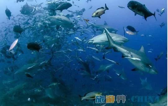 “浪费时间”的斐济“慢”生活