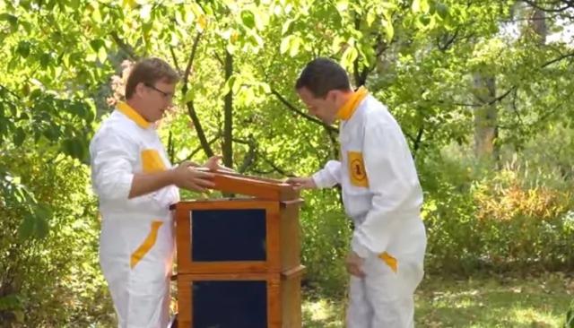 小帮手"太阳能蜂箱"简直是养蜂人的福音呀!