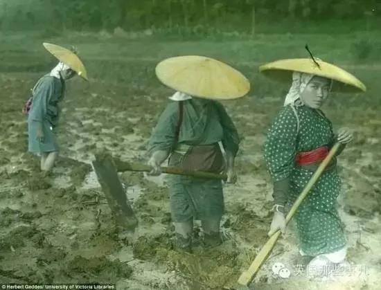 难得一见 百年前日本的老照片 2